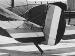 Tailplane detail from Sopwith 2F.1 Camel N6812 (0381-038)